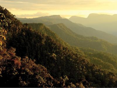 Cordillera azul national park